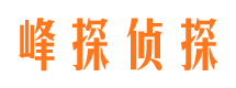 河源外遇出轨调查取证